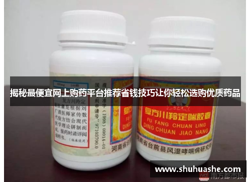 揭秘最便宜网上购药平台推荐省钱技巧让你轻松选购优质药品 揭秘最便宜网上购药平台推荐省钱技巧让你轻松选购优质药品