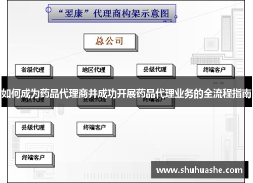 如何成为药品代理商并成功开展药品代理业务的全流程指南 如何成为药品代理商并成功开展药品代理业务的全流程指南