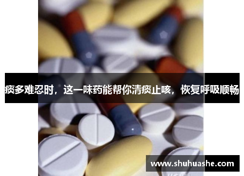 痰多难忍时,这一味药能帮你清痰止咳,恢复呼吸顺畅 痰多难忍时,这一味药能帮你清痰止咳,恢复呼吸顺畅