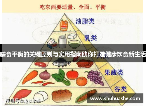 膳食平衡的关键原则与实用指南助你打造健康饮食新生活 膳食平衡的关键原则与实用指南助你打造健康饮食新生活